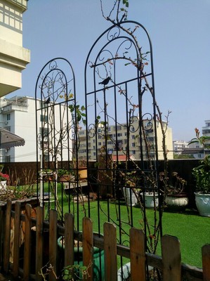 花园杂货新宠：铁艺圣诞树爬藤架，锈色双份装，打造梦幻雪莹爬架！