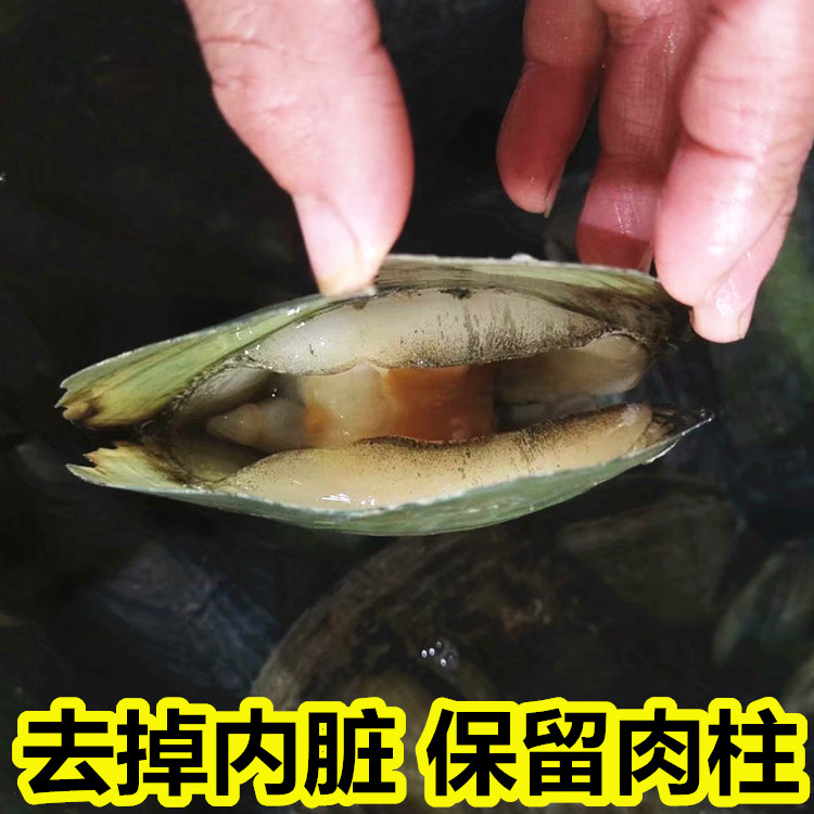 鲜活超大带子：海鲜界的低调奢华，一口鲜掉眉毛的美味体验！
