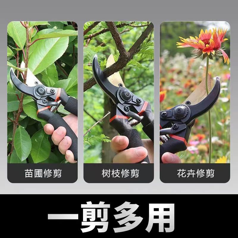 德国品质果树修枝剪：园艺达人的必备神器！