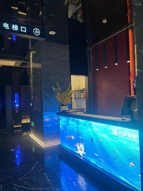 普陀高端足疗沐足哪里便宜