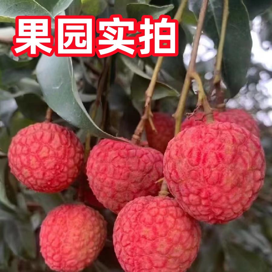 镇隆荔枝糯米糍：当季鲜果盛宴，孕妇也能安心享受的美味