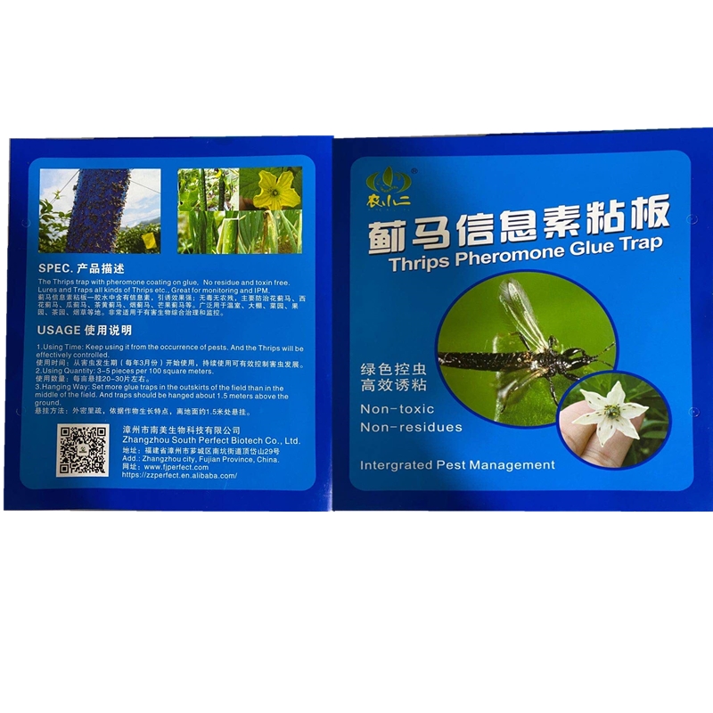 蓟马天敌来了！蓝板+信息素粘板，植物杀手秒变“躺平选手”