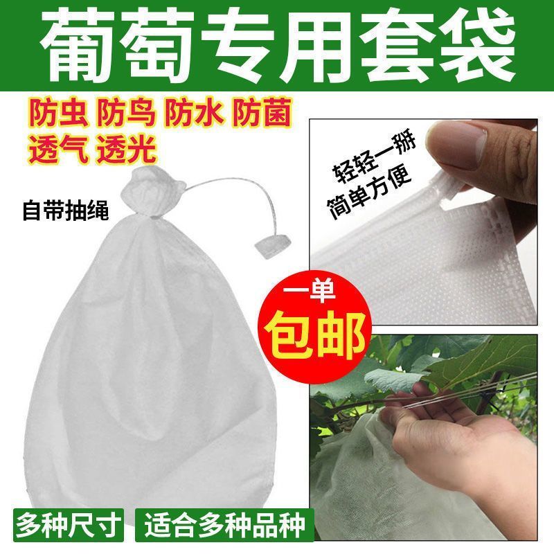葡萄袋套袋专用袋：守护水果的秘密武器，防水防虫防鸟透气神器大揭秘！