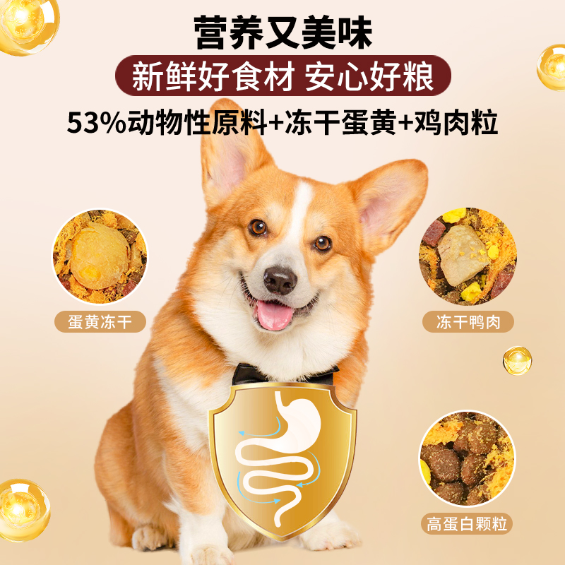 皇家狗粮LP18真的能治狗狗尿频？泌尿道问题救星！铲屎官必看