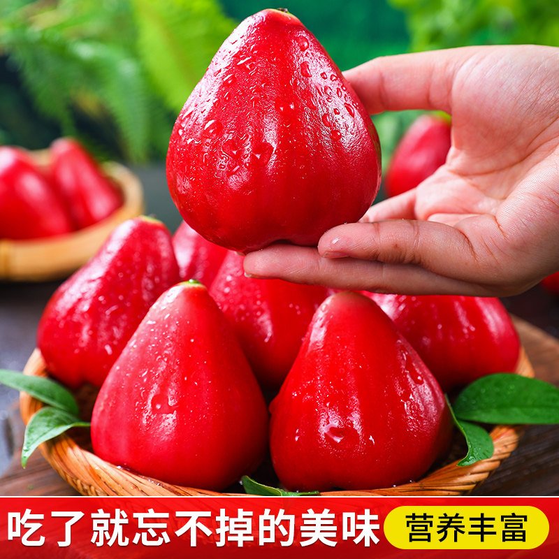 顺丰到家：海南黑金刚莲雾，新鲜多汁，孕妇也能安心享受的热带水果！