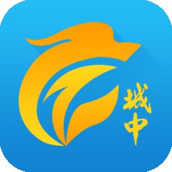 城中智慧城管