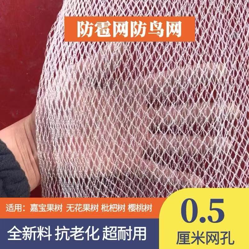 白色防雹网：守护果园的秘密武器，蓝莓樱桃的防雹防虫专家