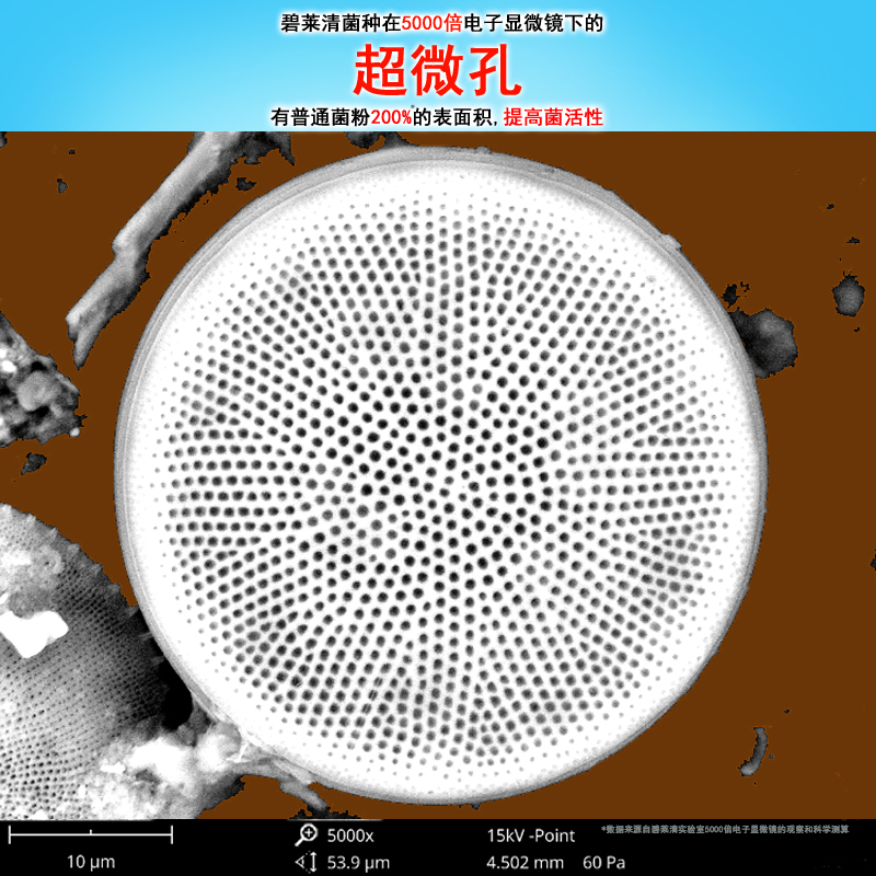 碧莱清一体机专用菌：污水净化界的超级英雄，挂膜快，复合菌搞定一切污水难题！