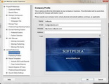 Website Auditor For Linux4.10
