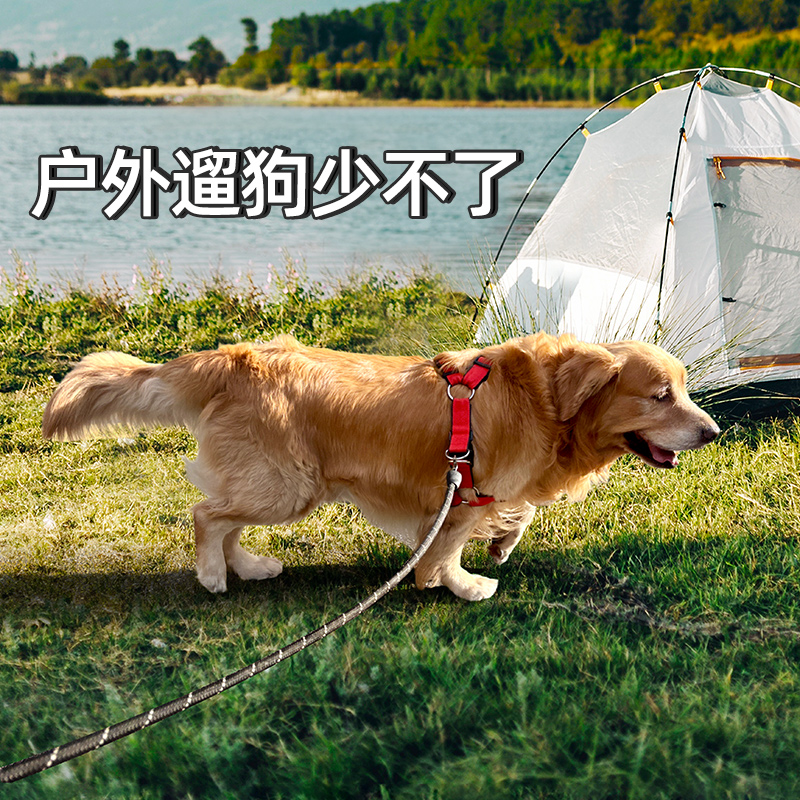 MOG层层纱宠物牵引绳：遛宠必备，四季皆宜的仙女级遛狗神器！