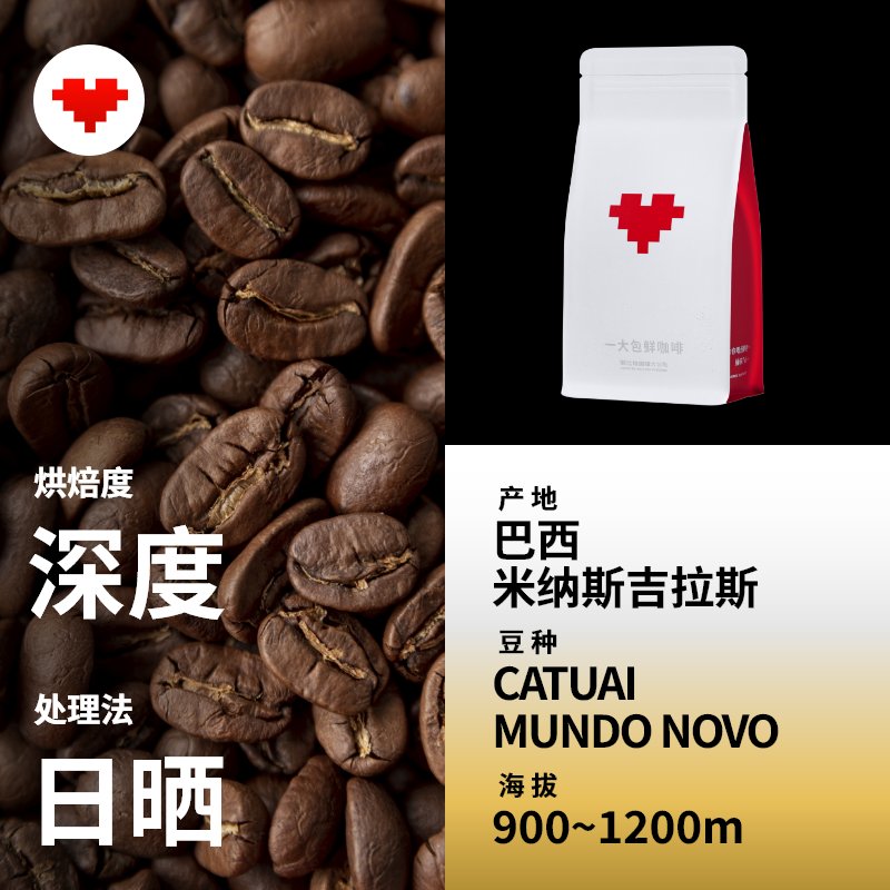 蓝瓶咖啡：日本精品咖啡的传奇之旅
