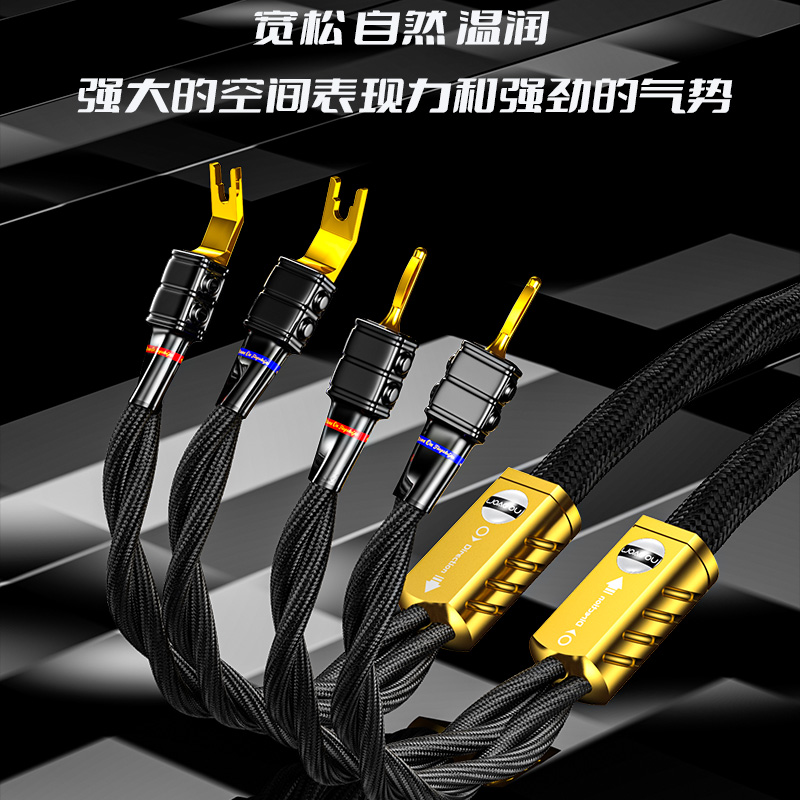 Tanmaster-EVO天师单晶铜10平方碲铜头HIFI发烧级功放音响喇叭线：音质发烧友的终极选择！