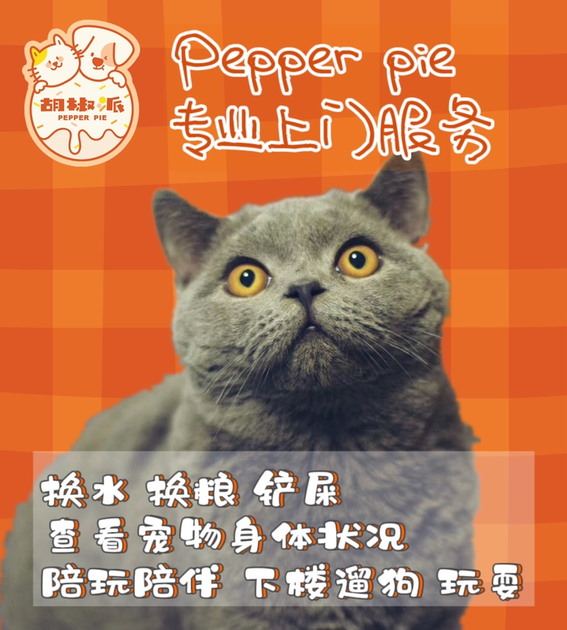 胡椒派上门喂猫遛狗！宠物爸妈的救命神器！北京上海深圳都可约！