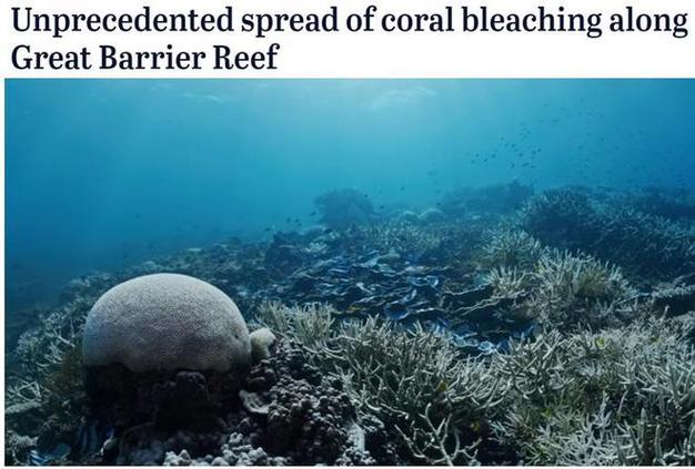 What is Coral Reef Bleaching?