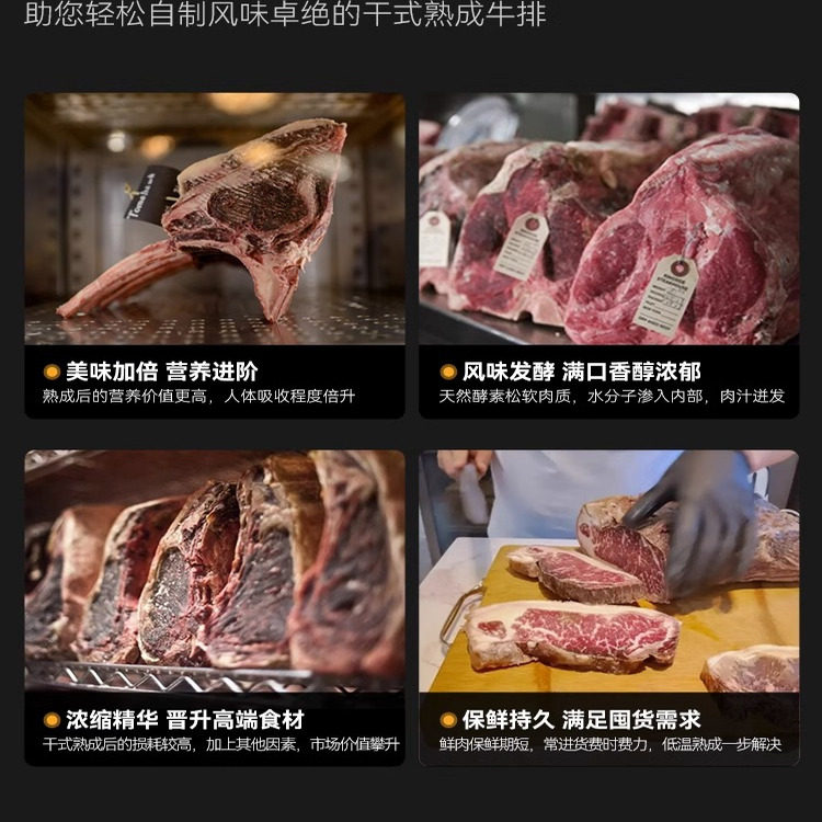 2026年选购牛肉熟成柜，哪些核心要素需要关注？