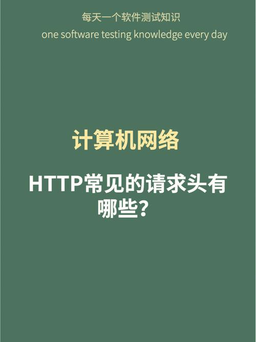 vue网络请求, 什么是网络请求？