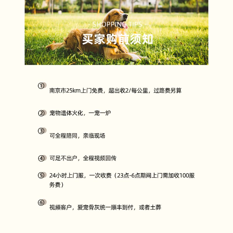 南京宠物火化殡葬：给宠物一个温暖的告别，让爱永存