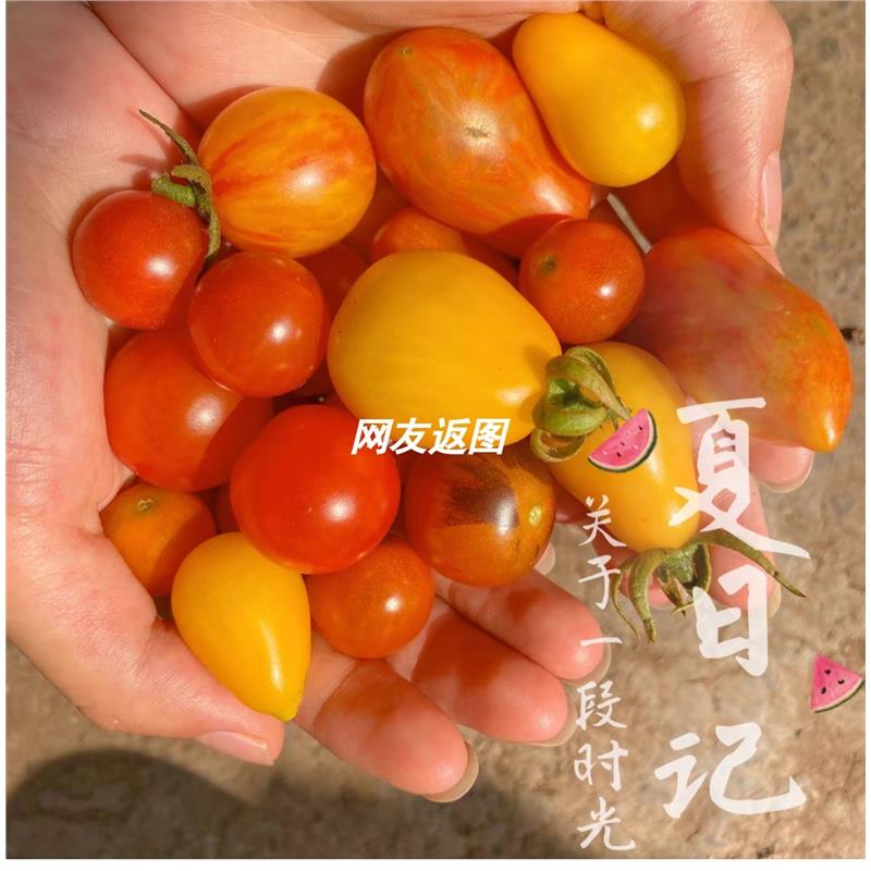 老宝妈隐晦意思大揭秘，小白必看，绝绝子！