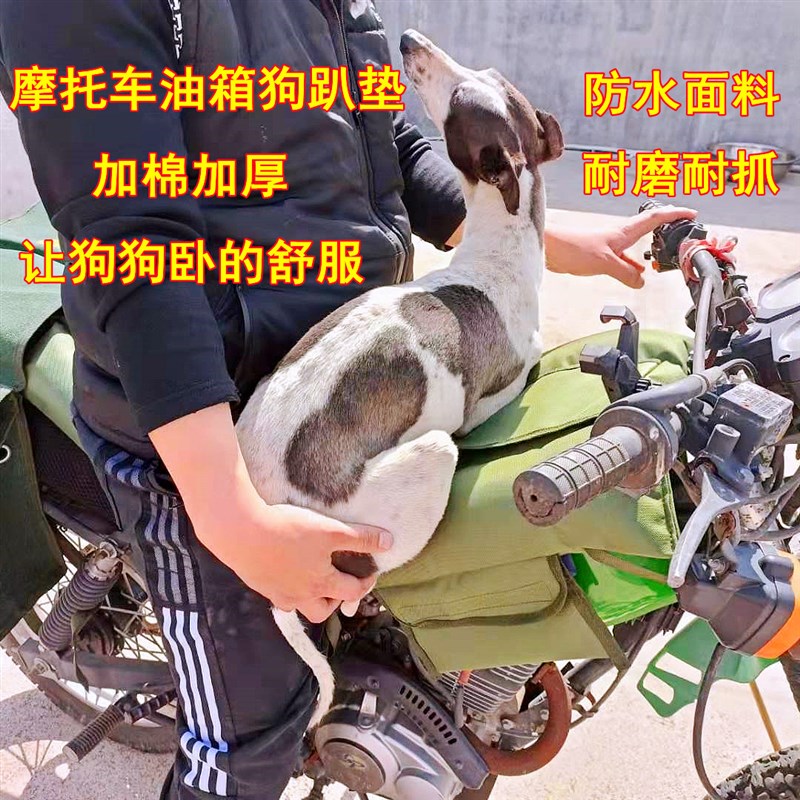 125摩托车油箱趴垫：加厚防水耐磨，狗狗趴垫新选择！
