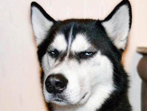 一夜爆火背后，被称为&ldquo;狗子缅北&rdquo;的潘宏乐园