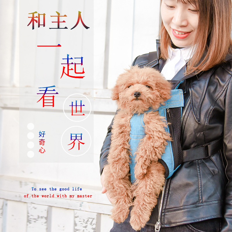 韩版宠物四季外出便携网格猫包狗包：如何让宠物出行变得优雅又实用？