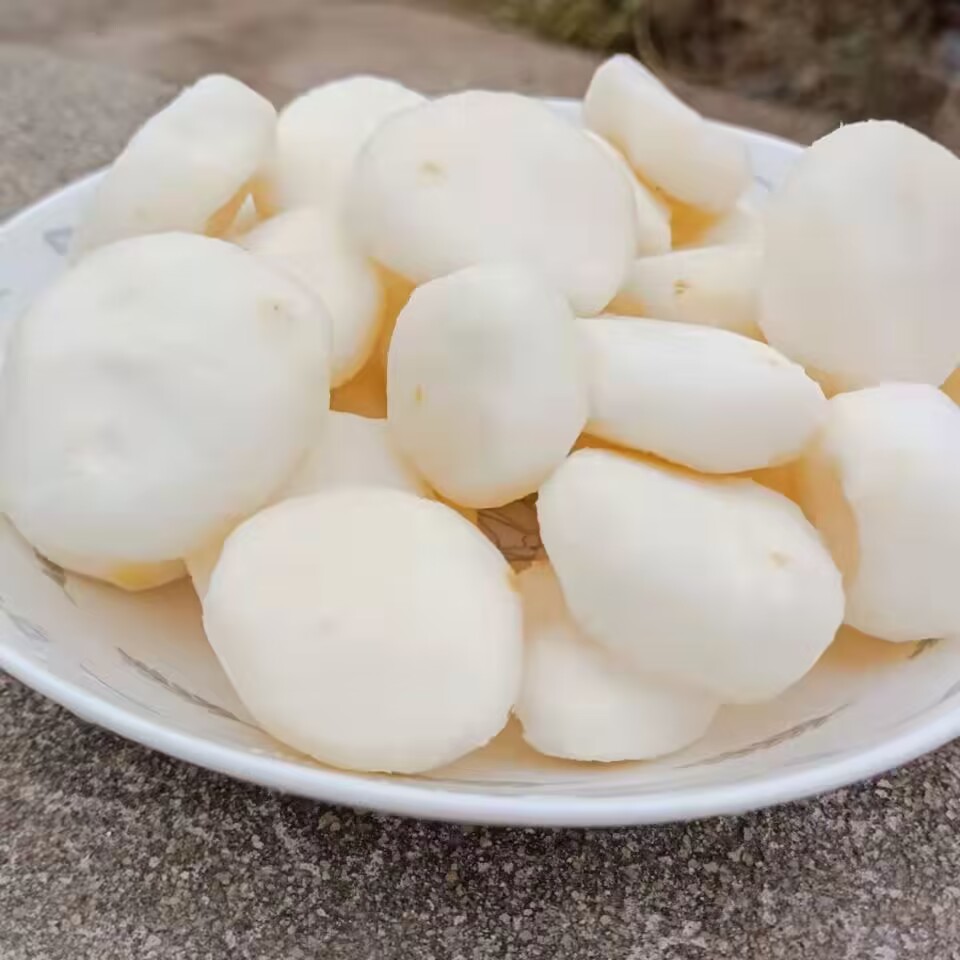 新鲜马蹄荸荠：当季地道蔬菜水果，农家现挖，实惠又正宗！