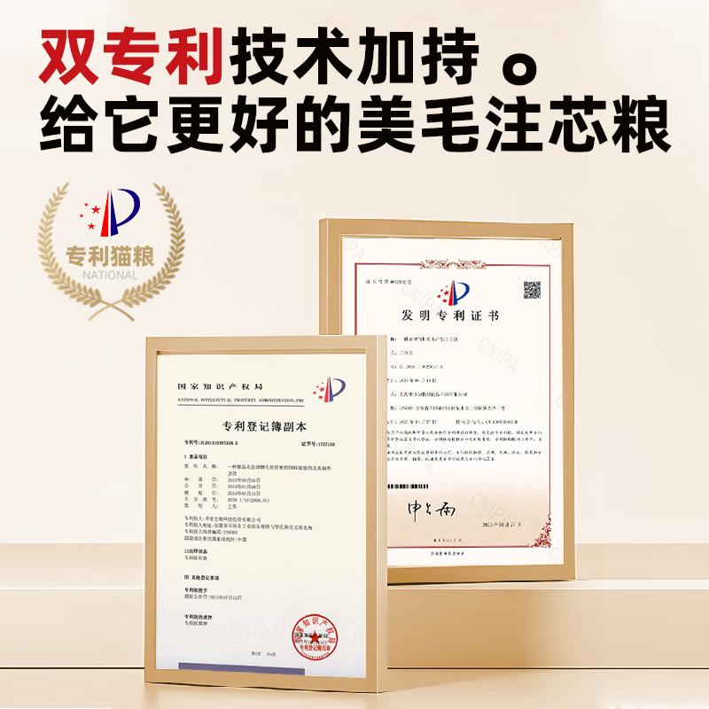 实验动物疾病全解：高虹著作9787030582539，包邮入手，科研必备神器！