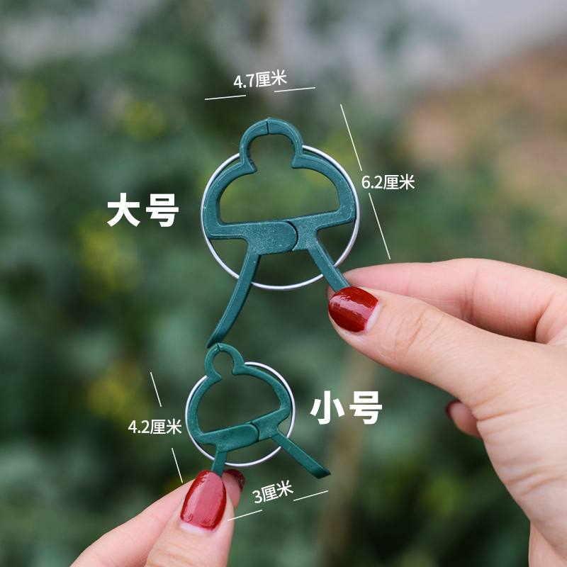 爬藤植物固定夹绿色卡扣：让蔬菜番茄花卉瓜果攀爬不再是难题！