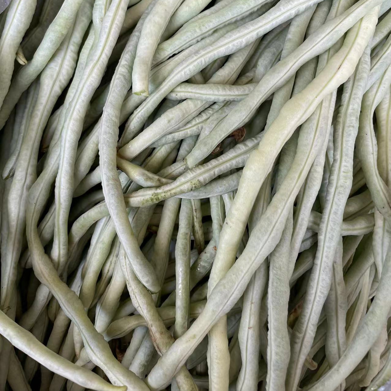 孝感白豇豆：鲜嫩脆爽，尝一口就爱上！