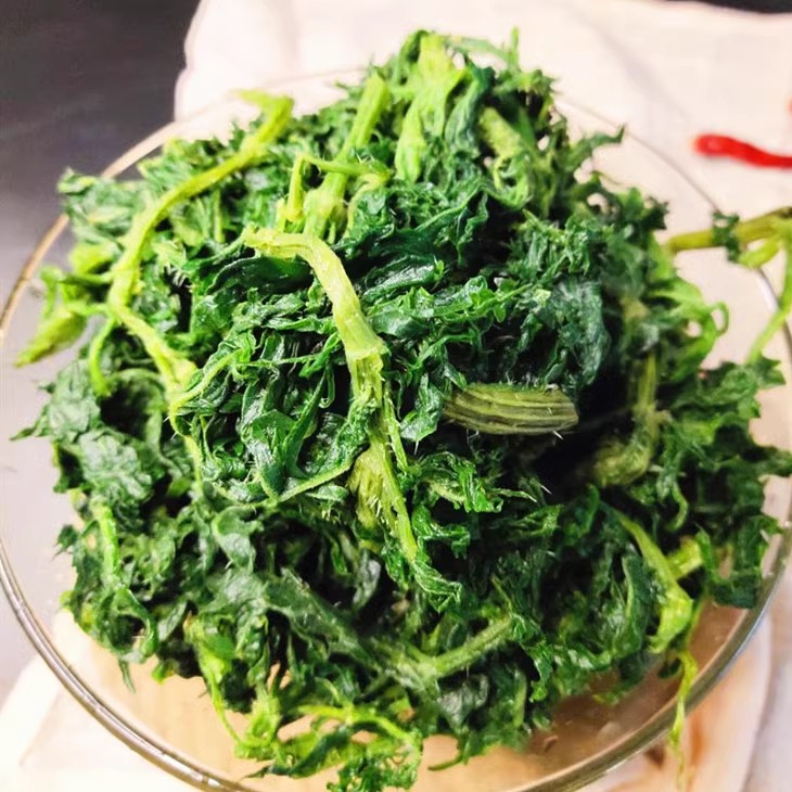 野生哈拉海山野菜太绝了！内蒙古赤峰克旗野菜干，吃出东北老味道