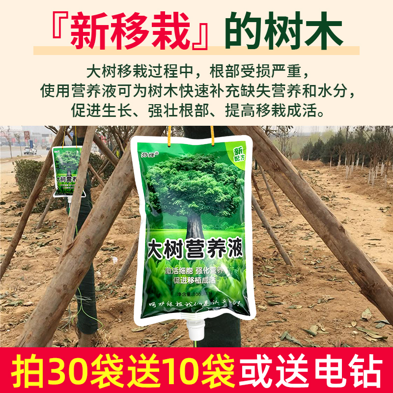 大树营养液吊针液：桂花树移栽生根的秘密武器，激活液助果树重生！