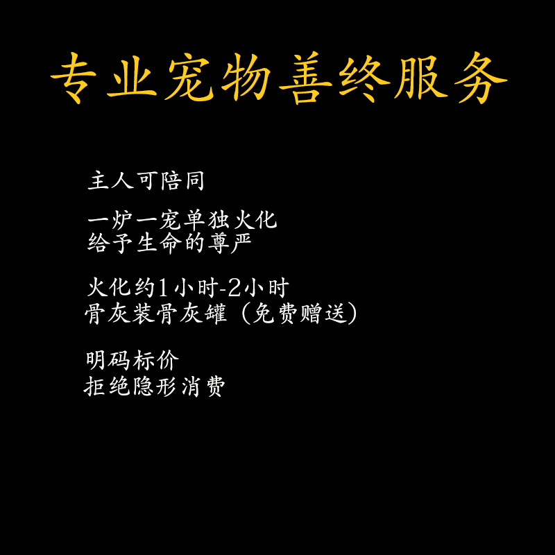 福州宠物火化殡葬：狗狗、猫猫、兔子的善终仪式，无痛安乐上门服务太暖心了！