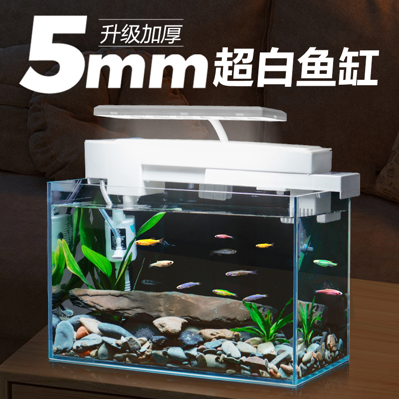 底滤小型桌面鱼缸：打造客厅里的原生态溪流，金鱼乌龟的天堂！