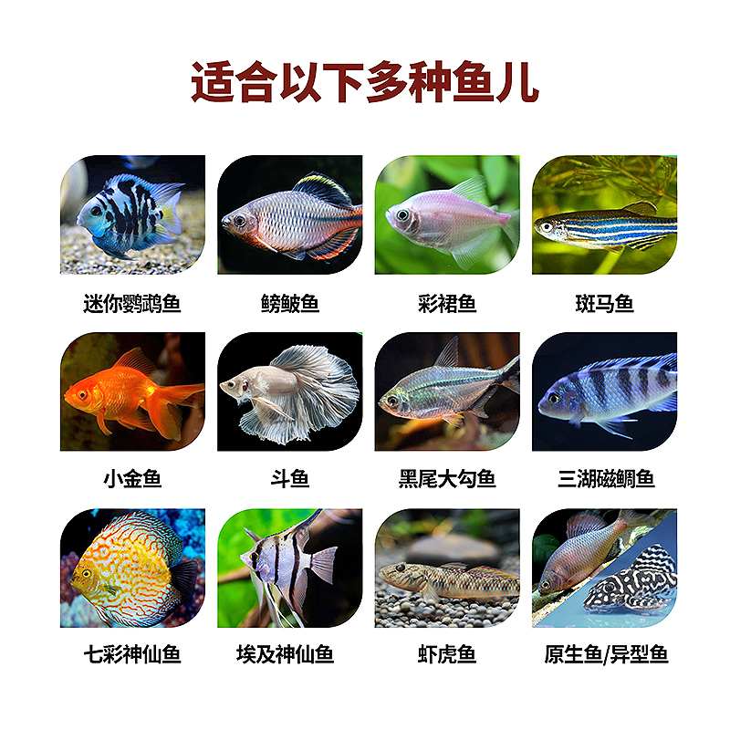 搞钱必看！斗鱼平台抽成揭秘，主播月入百万的秘密竟然是这样？
