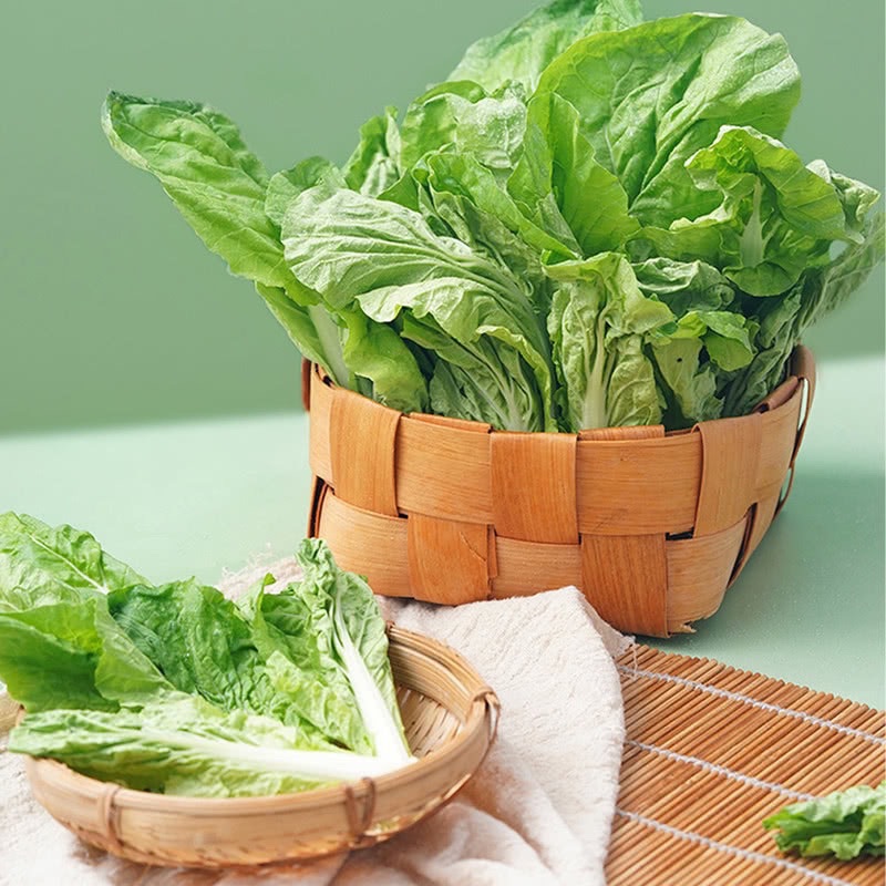 Member&#x27;s Mark有机杭白菜苗600g：吃出健康的绿色革命，你准备好了吗？