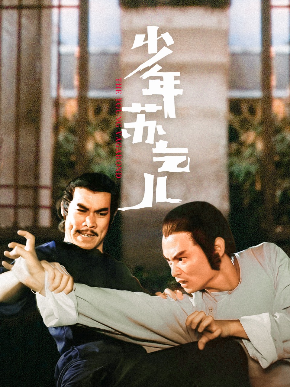 少年苏乞儿