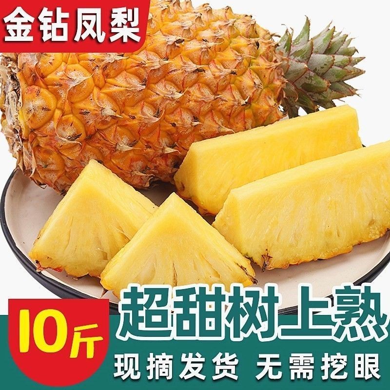 海南金钻凤梨真的绝了！手撕吃法太上头！这波不冲亏麻了