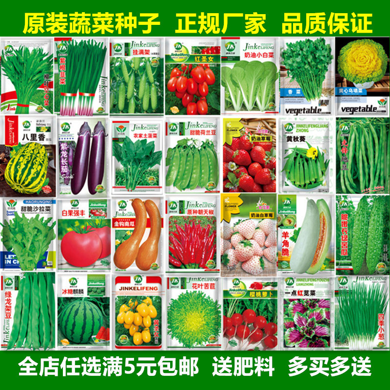 意大利咖啡豆：哪一种让你的味蕾翩翩起舞？