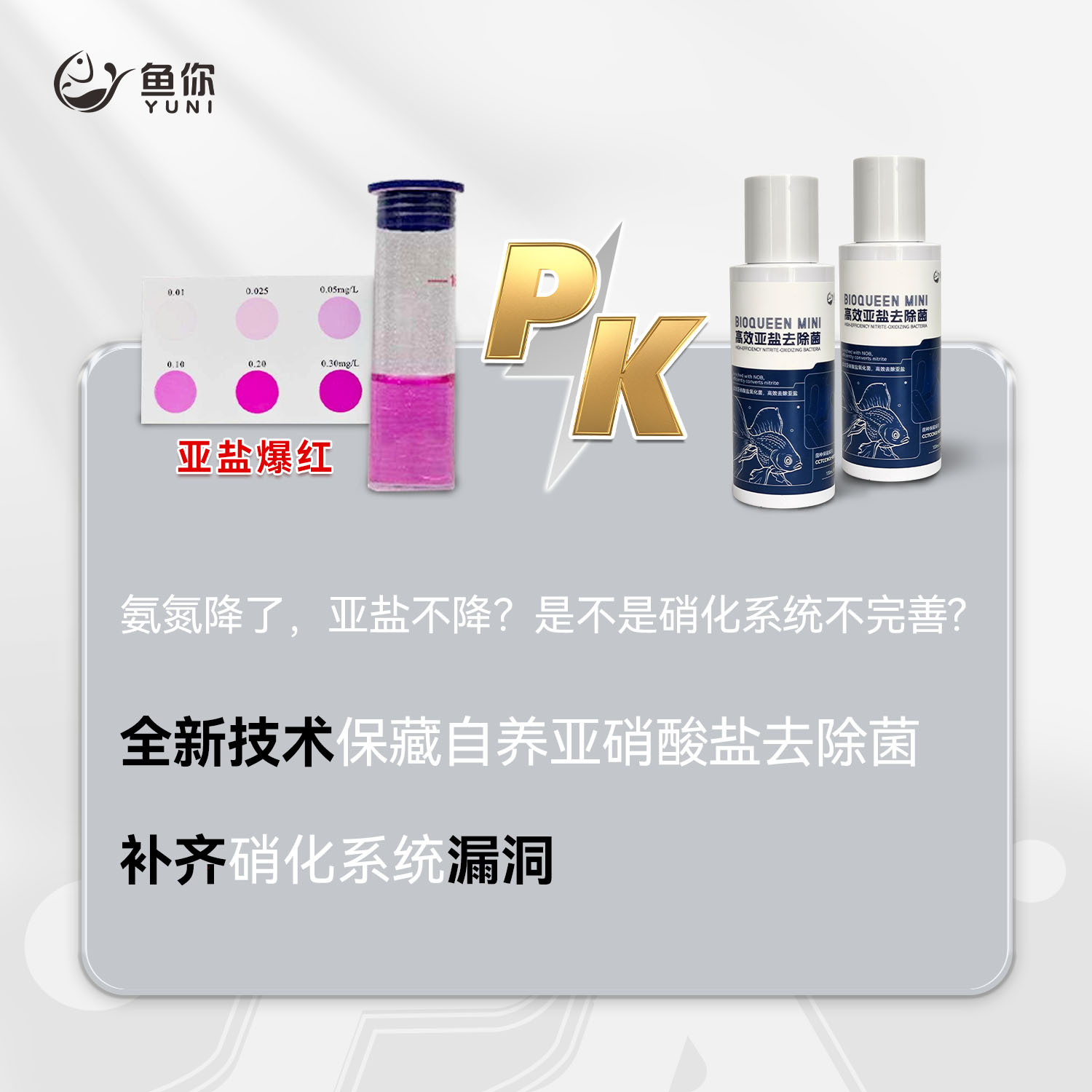 水之国鱼你自养硝化细菌N1：鱼缸水质守护神，安全快速降氨氮的秘密武器！
