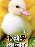 小鸭子游乐园 2