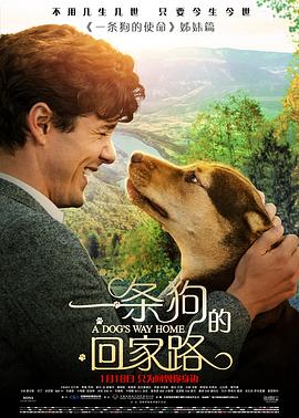一条狗的回家路（版）
