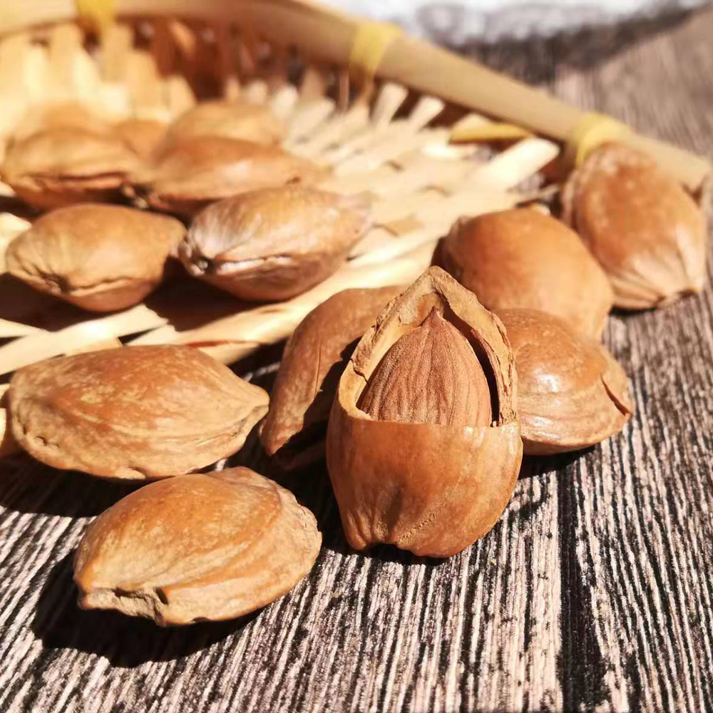 新货开口杏核：五香奶香，手剥薄壳，蔚县小银杏，零食界的味觉盛宴！
