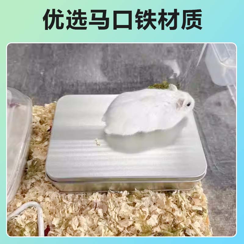 小宠降温冰窝：宠物夏日消暑神器，仓鼠龙猫荷兰猪的清凉天堂！