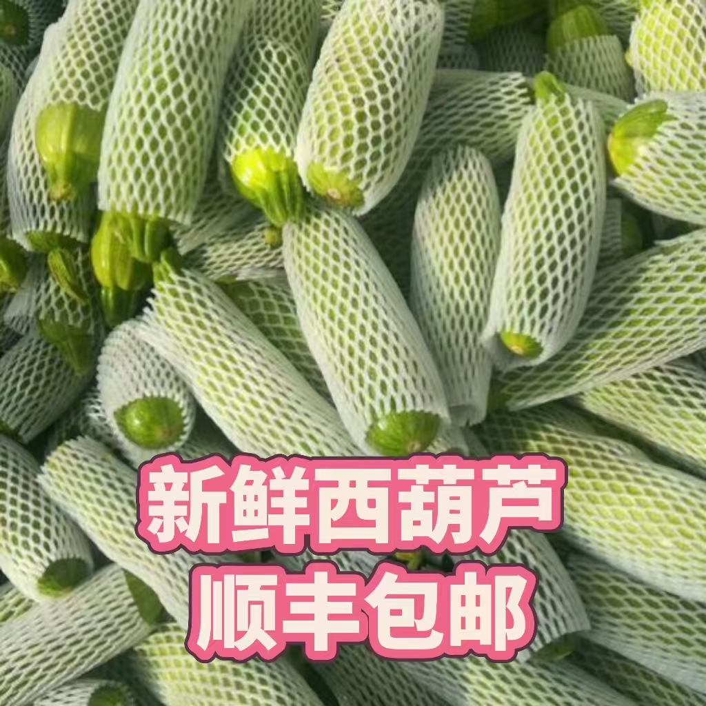 新鲜采摘！精选西葫芦&amp;当季蔬菜包邮，开启春天的味蕾盛宴
