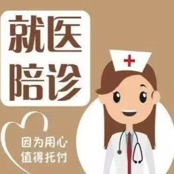 上海三甲医院陪诊服务：告别看病难，轻松就医新体验