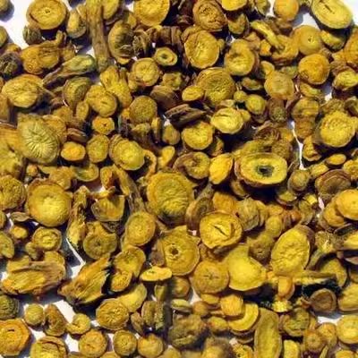 枯芩500克：纯野生黄芩老树桩，特级内蒙古枯芩特大个黄芩，你值得拥有！