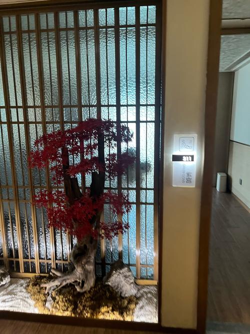 说说我在重庆南岸SPA沐足休闲会所——上周五体验过,确实很不错