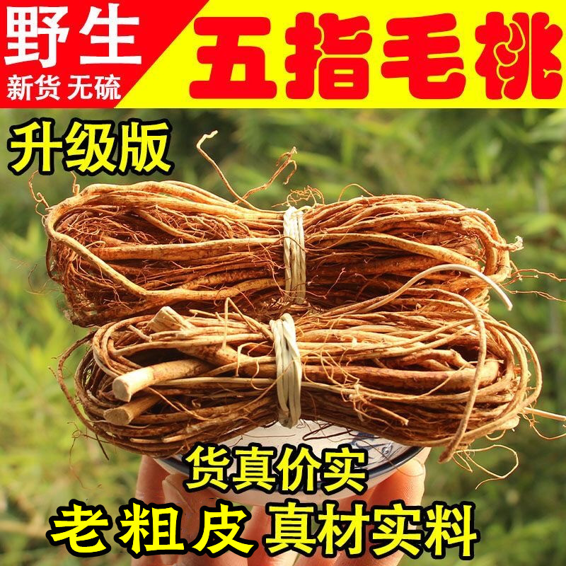 广西野生五指毛桃根皮煲汤：自然馈赠，滋补养生的秘密武器！
