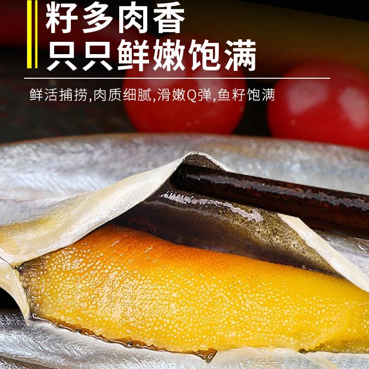 肉质肥美多春鱼满籽新鲜多籽鱼冷冻鱼籽鲜活海鲜海鱼烧烤商用食材，鲜美不可挡！