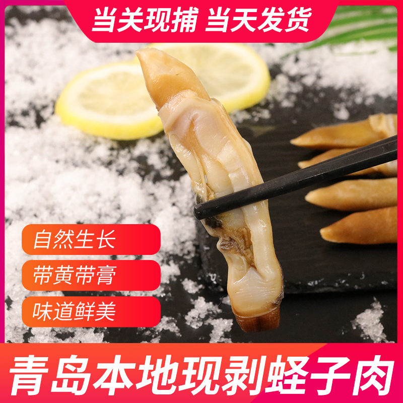 红油竹蛏皇凉拌料包，解锁夏日清爽新吃法！️